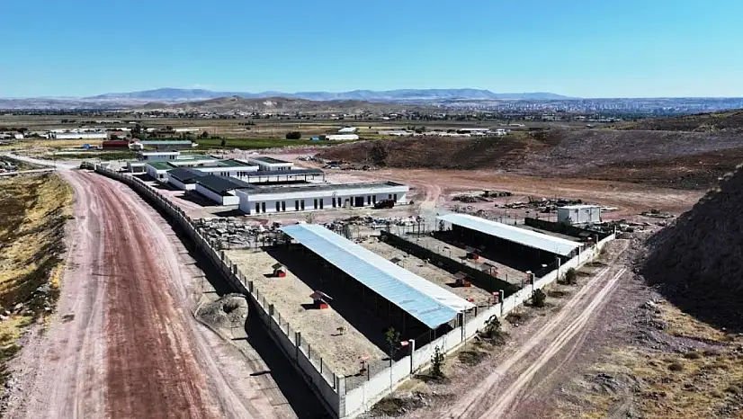 Kocasinan'da sokak hayvanlarına 25 bin metrekarelik modern tesis
