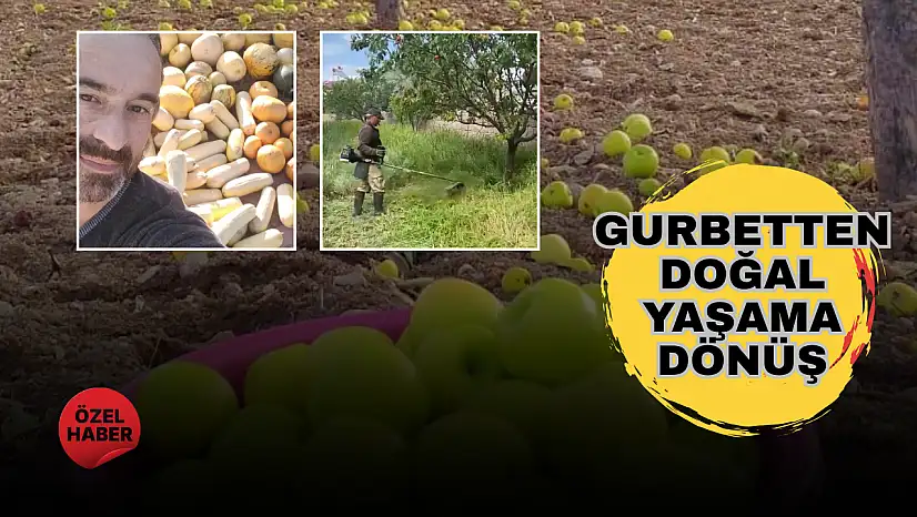 Memleketine dönen gurbetçi, doğal yaşam kültürünü yaşatıyor