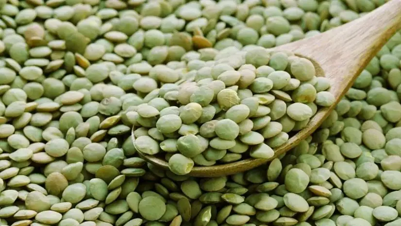 Yeşil mercimek ve yulaf ithalatında gümrük vergileri düşürüldü