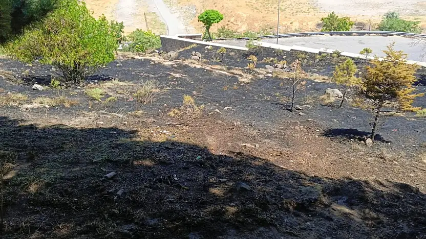 Beştepeler Mesire Alanı'nda ot yangını