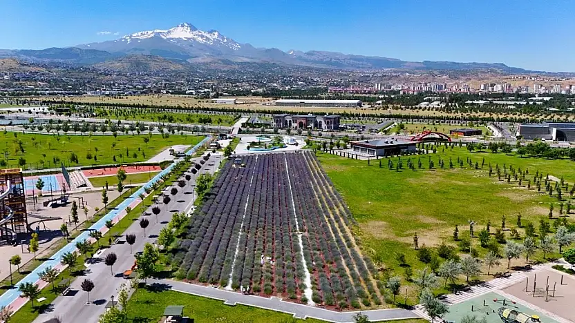 Büyükşehirin lavanta bahçesi, Erciyes manzarasıyla ziyaretçilerini büyülüyor