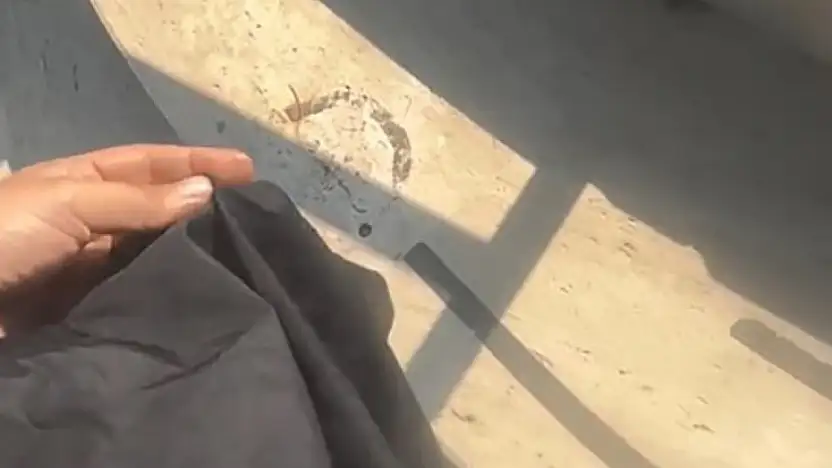 Havuza tesettürlü mayo ile alınmadı! Olayda 1 gözaltı