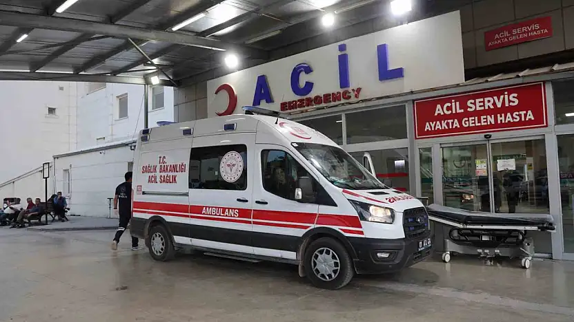 Kız alıp verme husumeti kanlı bitti: Baba ve oğlu öldürüldü