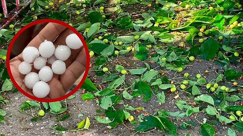 Tomarza'da dolu yağışı ekili alanlara zarar verdi