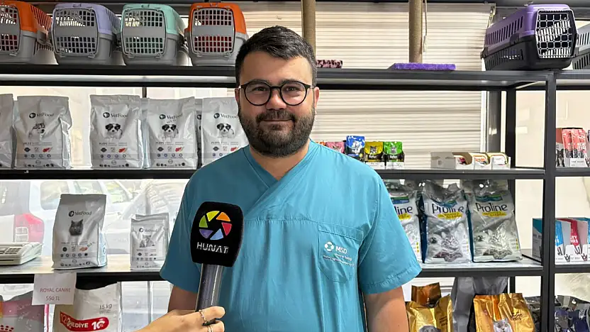 Veteriner Sarıkaya uyardı! Sıcak çarpması ve yanlış bakım hayvanları tehdit ediyor