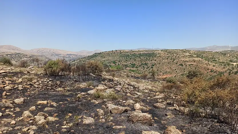 Yahyalı'daki yangın söndürüldü