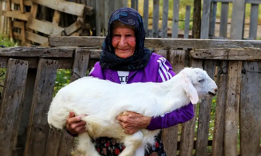 Antalya'nın 'Süper Çobanı' Emine Nine, 90 yıldır keçileriyle dağlarda