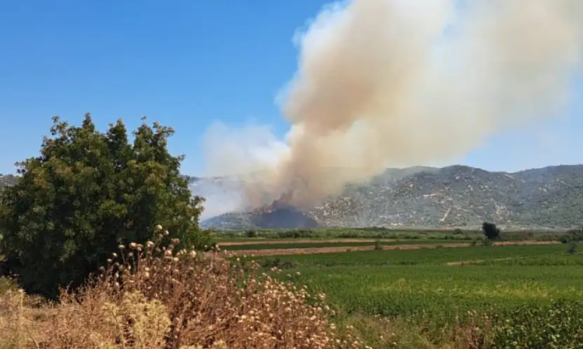 Aydın'da zirai alanda yangın! Ekiplerin müdahalesi sürüyor