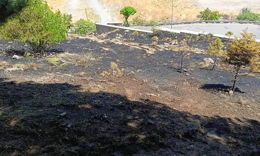 Beştepeler Mesire Alanı'nda ot yangını