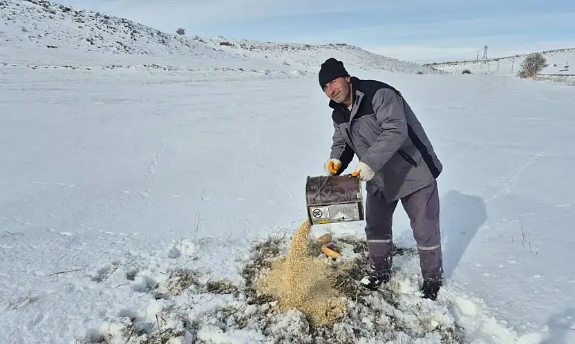 Bünyan'da sokak hayvanlarına yem ve mama desteği