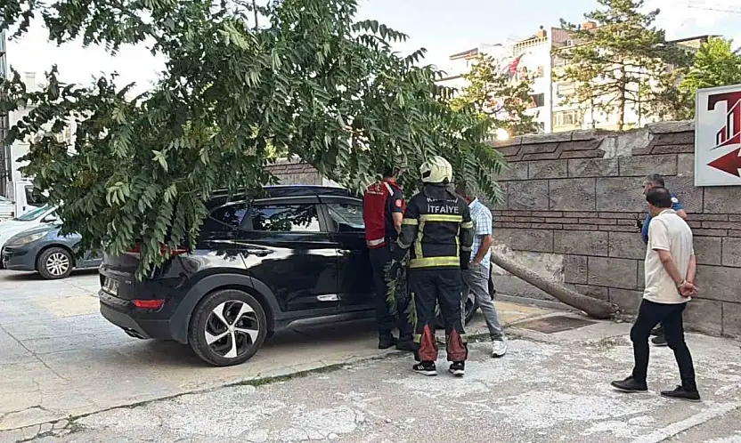 Kökü duvarın altında olan ağaç aracın üzerine devrildi