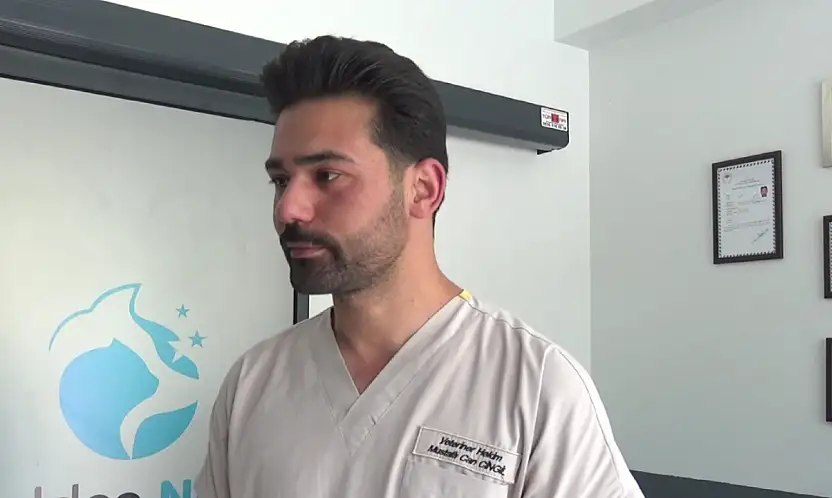 Veteriner Cingil'den kene uyarısı! Evcil hayvan sahipleri dikkat