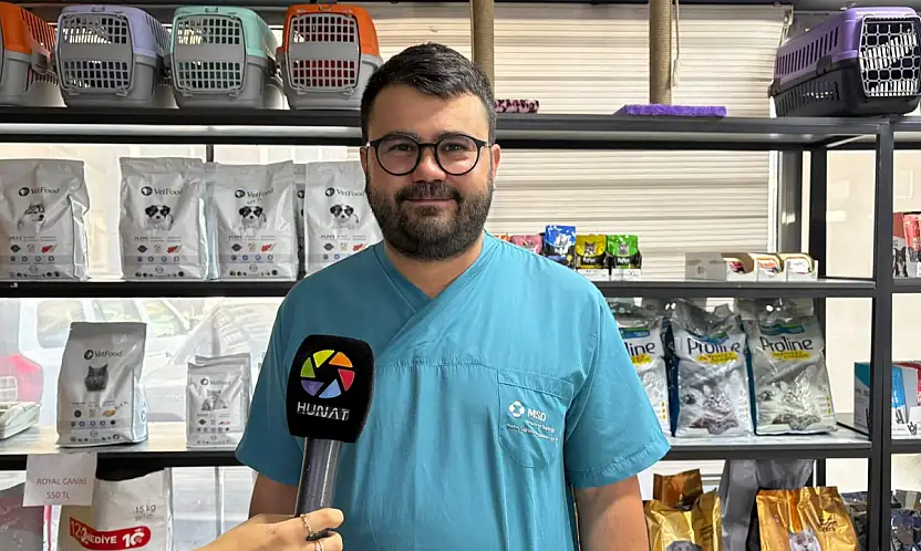 Veteriner Sarıkaya uyardı! Sıcak çarpması ve yanlış bakım hayvanları tehdit ediyor