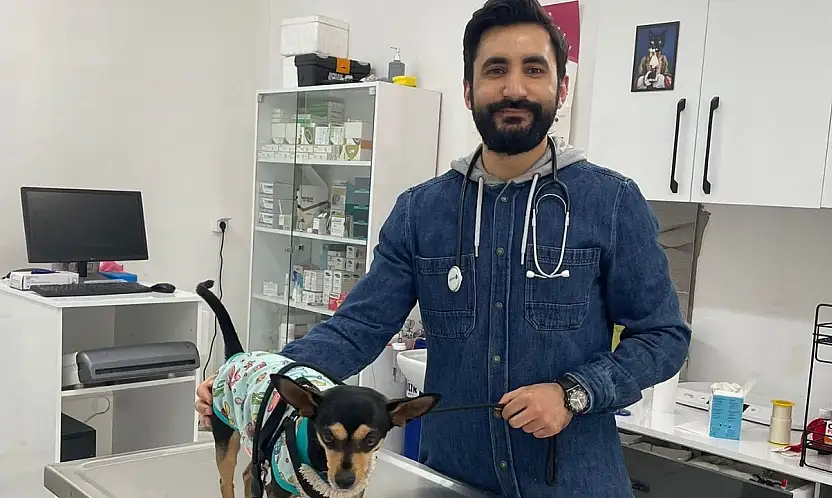 Veteriner Teknekaya'dan yaz uyarısı: Taşıma çantası seçimi hayati önem taşıyor