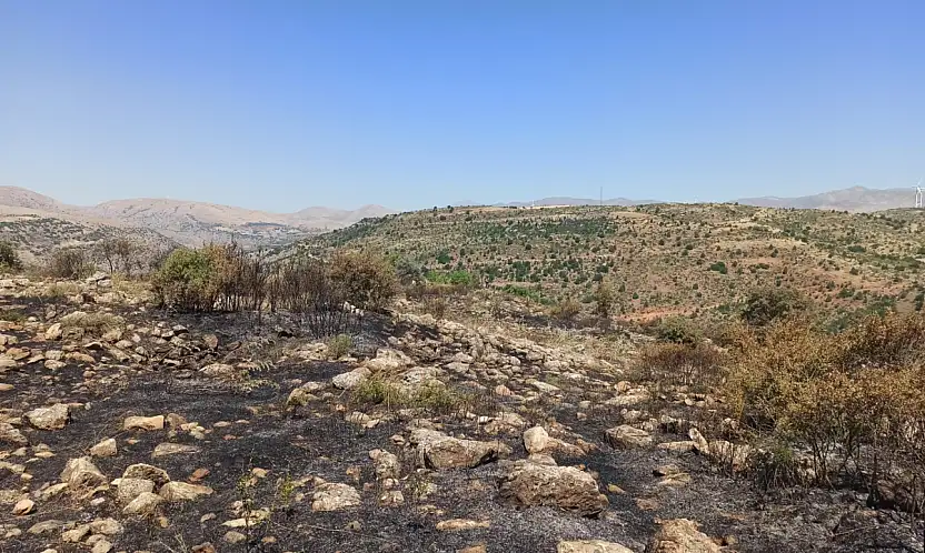 Yahyalı'daki yangın söndürüldü